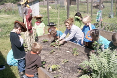 raised_beds